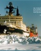Экономика инновационного развития в условиях глобализации («Основы социологии», том 7) | Внутренний Предиктор СССР