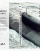 Российское общество и гибель АПЛ «Курск» 12 августа 2000 года | Внутренний Предиктор СССР